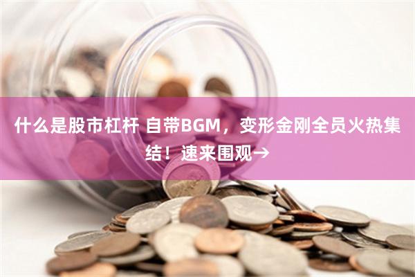 什么是股市杠杆 自带BGM，变形金刚全员火热集结！速来围观→