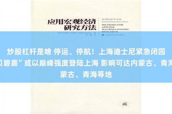 炒股杠杆是啥 停运、停航！上海迪士尼紧急闭园！“贝碧嘉”或以巅峰强度登陆上海 影响可达内蒙古、青海等地