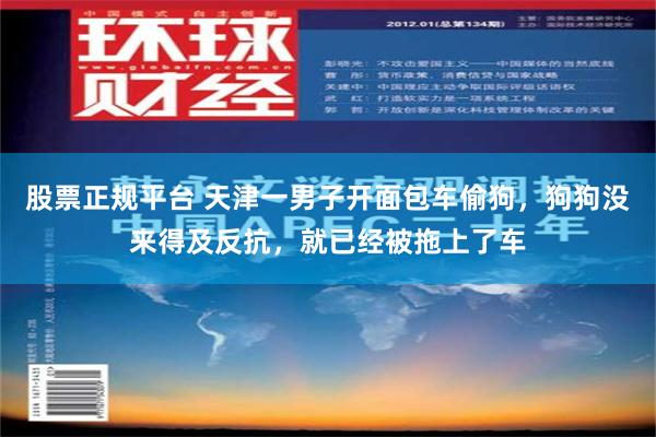 股票正规平台 天津一男子开面包车偷狗，狗狗没来得及反抗，就已经被拖上了车