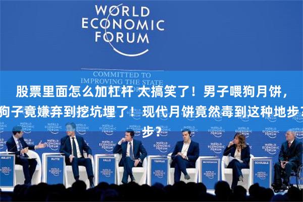 股票里面怎么加杠杆 太搞笑了！男子喂狗月饼，狗子竟嫌弃到挖坑埋了！现代月饼竟然毒到这种地步？