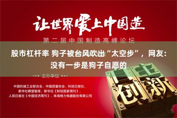 股市杠杆率 狗子被台风吹出“太空步”，网友：没有一步是狗子自愿的