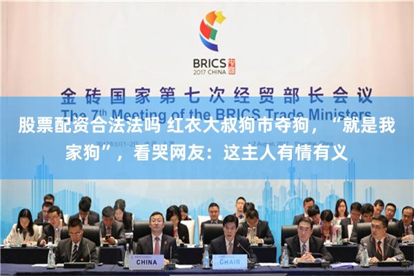 股票配资合法法吗 红衣大叔狗市夺狗，“就是我家狗”，看哭网友：这主人有情有义