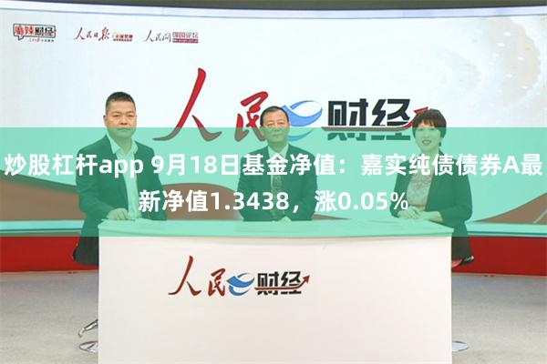 炒股杠杆app 9月18日基金净值：嘉实纯债债券A最新净值1.3438，涨0.05%