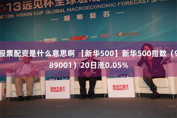股票配资是什么意思啊 【新华500】新华500指数（989001）20日涨0.05%