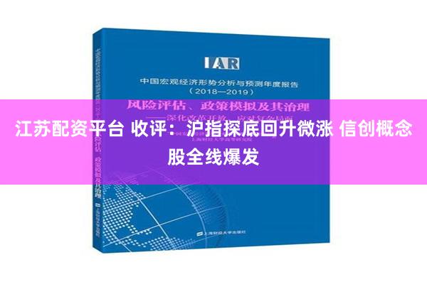 江苏配资平台 收评：沪指探底回升微涨 信创概念股全线爆发