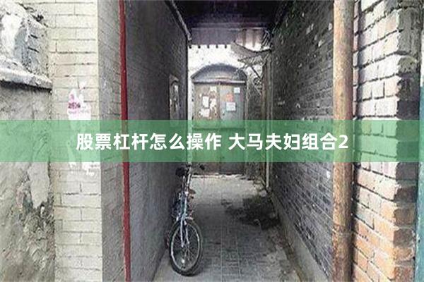 股票杠杆怎么操作 大马夫妇组合2