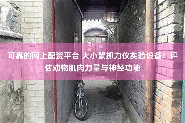 可靠的网上配资平台 大小鼠抓力仪实验设备：评估动物肌肉力量与神经功能