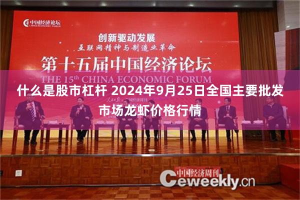什么是股市杠杆 2024年9月25日全国主要批发市场龙虾价格行情