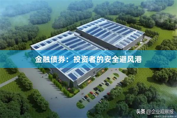 金融债券：投资者的安全避风港