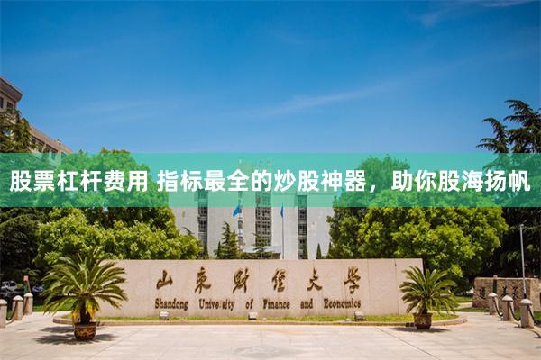 股票杠杆费用 指标最全的炒股神器，助你股海扬帆