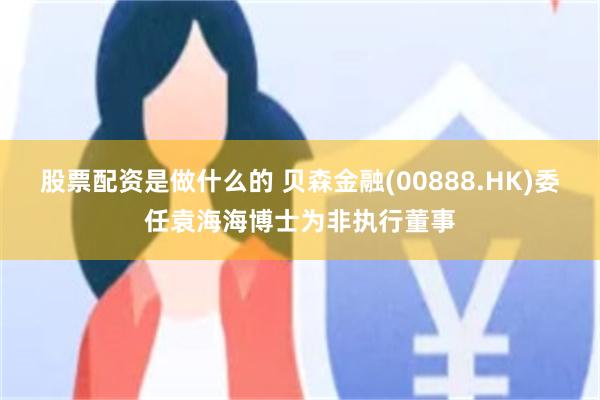 股票配资是做什么的 贝森金融(00888.HK)委任袁海海博士为非执行董事