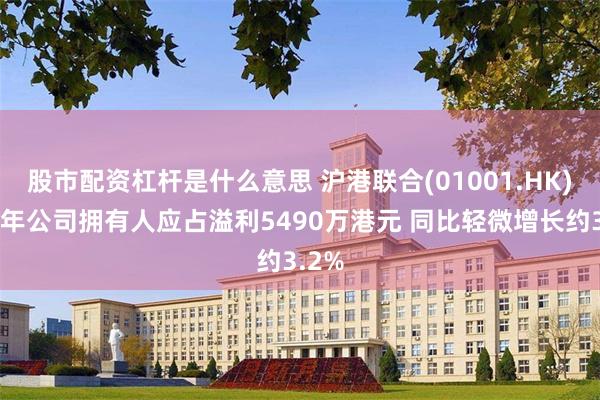 股市配资杠杆是什么意思 沪港联合(01001.HK)上半年公司拥有人应占溢利5490万港元 同比轻微增长约3.2%