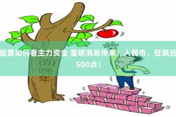 股票如何看主力资金 重磅消息传来！人民币，狂飙近500点！