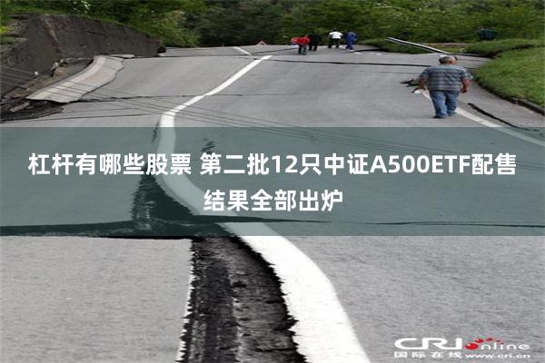 杠杆有哪些股票 第二批12只中证A500ETF配售结果全部出炉
