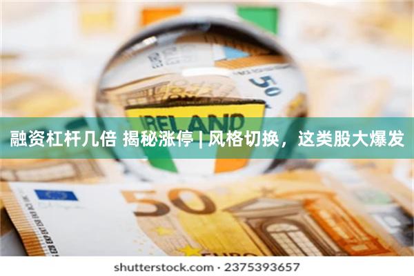 融资杠杆几倍 揭秘涨停 | 风格切换，这类股大爆发
