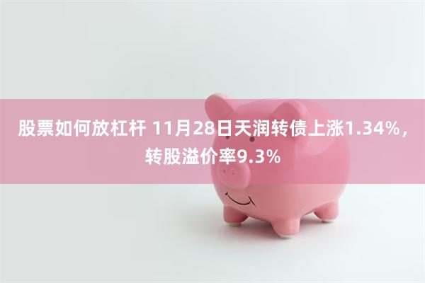 股票如何放杠杆 11月28日天润转债上涨1.34%，转股溢价率9.3%