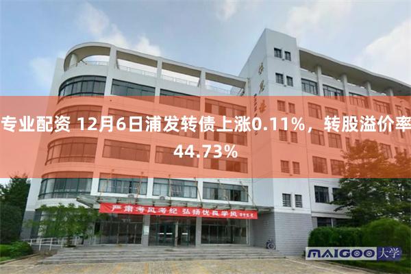 专业配资 12月6日浦发转债上涨0.11%，转股溢价率44.73%