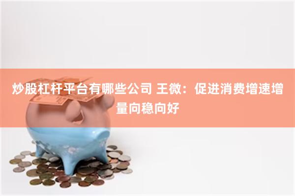 炒股杠杆平台有哪些公司 王微:促进消费增速增量向稳向好