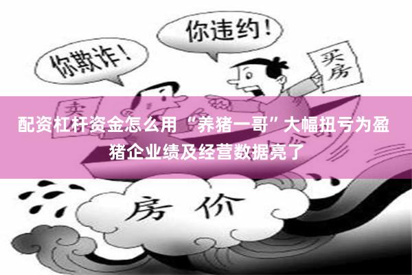 配资杠杆资金怎么用 “养猪一哥”大幅扭亏为盈 猪企业绩及经营数据亮了