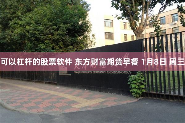 可以杠杆的股票软件 东方财富期货早餐 1月8日 周三