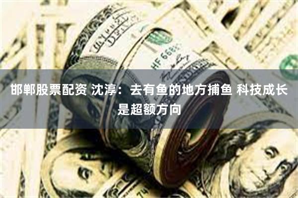 邯郸股票配资 沈淳：去有鱼的地方捕鱼 科技成长是超额方向