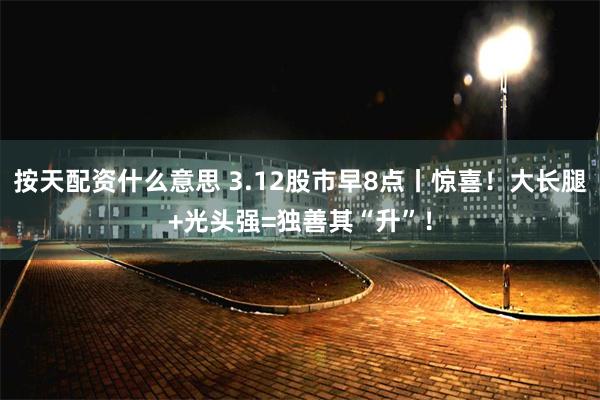 按天配资什么意思 3.12股市早8点丨惊喜！大长腿+光头强=独善其“升”！