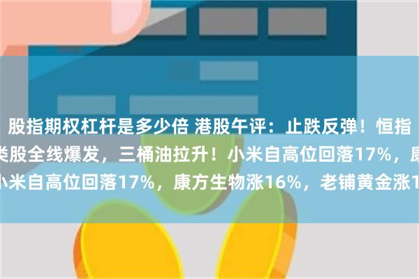 股指期权杠杆是多少倍 港股午评：止跌反弹！恒指涨1.06%，生物医药类股全线爆发，三桶油拉升！小米自高位回落17%，康方生物涨16%，老铺黄金涨14%
