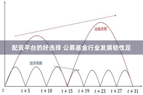 配资平台的好选择 公募基金行业发展韧性足