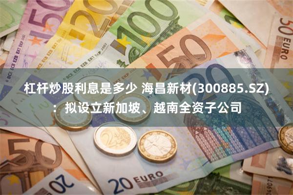 杠杆炒股利息是多少 海昌新材(300885.SZ)：拟设立新加坡、越南全资子公司