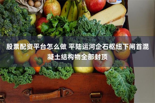 股票配资平台怎么做 平陆运河企石枢纽下闸首混凝土结构物全部封顶