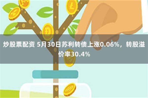 炒股票配资 5月30日苏利转债上涨0.06%，转股溢价率30.4%