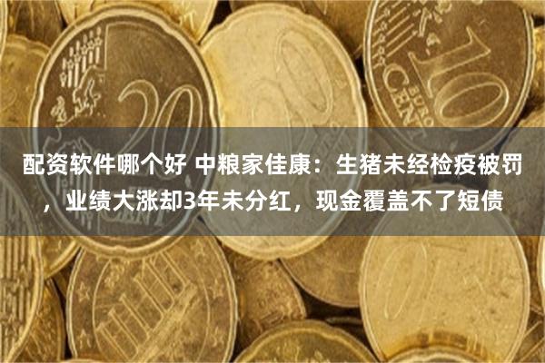配资软件哪个好 中粮家佳康：生猪未经检疫被罚，业绩大涨却3年未分红，现金覆盖不了短债