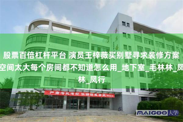 股票百倍杠杆平台 演员王梓薇买别墅寻求装修方案，空间太大每个房间都不知道怎么用_地下室_毛林林_凤行