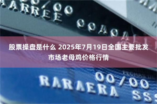 股票操盘是什么 2025年7月19日全国主要批发市场老母鸡价格行情