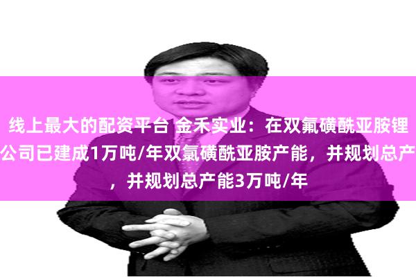 线上最大的配资平台 金禾实业：在双氟磺酰亚胺锂相关领域，公司已建成1万吨/年双氯磺酰亚胺产能，并规划总产能3万吨/年