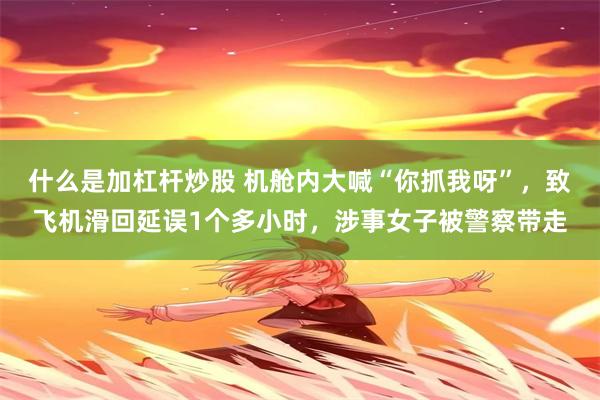 什么是加杠杆炒股 机舱内大喊“你抓我呀”，致飞机滑回延误1个多小时，涉事女子被警察带走