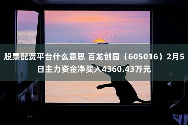 股票配资平台什么意思 百龙创园（605016）2月5日主力资金净买入4360.43万元