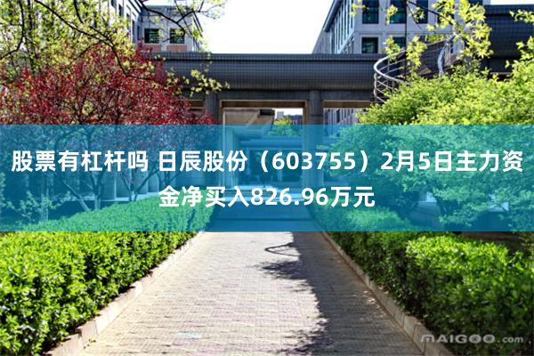 股票有杠杆吗 日辰股份（603755）2月5日主力资金净买入826.96万元