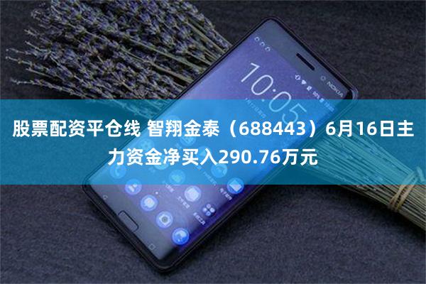 股票配资平仓线 智翔金泰（688443）6月16日主力资金净买入290.76万元