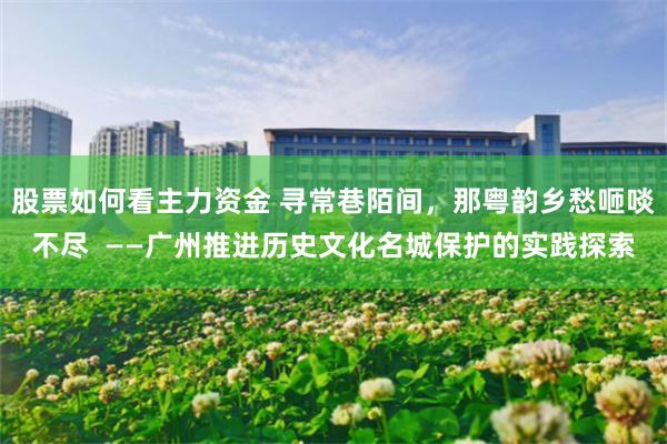 股票如何看主力资金 寻常巷陌间，那粤韵乡愁咂啖不尽  ——广州推进历史文化名城保护的实践探索