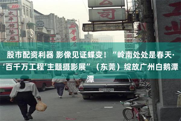 股市配资利器 影像见证蝶变！“岭南处处是春天·‘百千万工程’主题摄影展”（东莞）绽放广州白鹅潭