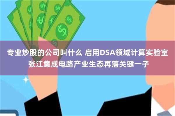 专业炒股的公司叫什么 启用DSA领域计算实验室 张江集成电路产业生态再落关键一子