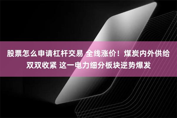 股票怎么申请杠杆交易 全线涨价！煤炭内外供给双双收紧 这一电力细分板块逆势爆发