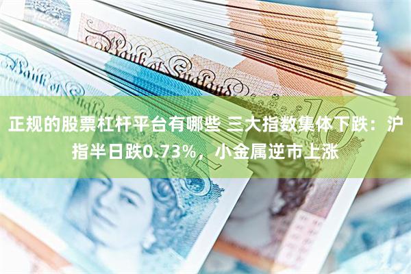 正规的股票杠杆平台有哪些 三大指数集体下跌：沪指半日跌0.73%，小金属逆市上涨
