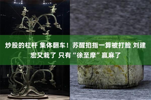 炒股的杠杆 集体翻车！苏醒掐指一算被打脸 刘建宏又栽了 只有“徐至摩”赢麻了