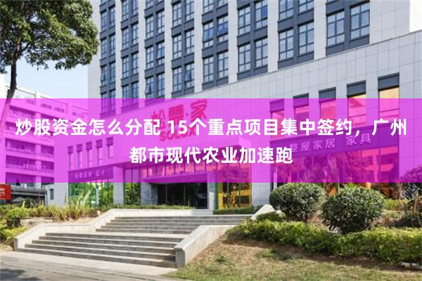 炒股资金怎么分配 15个重点项目集中签约,广州都市现代农业加速跑