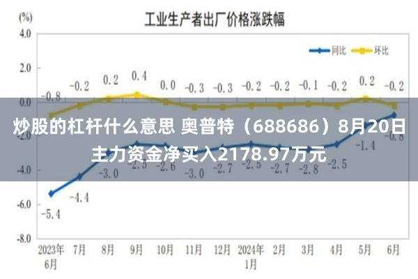 炒股的杠杆什么意思 奥普特(688686)8月20日主力资金净买入2178.97万元
