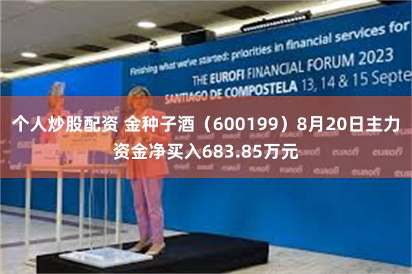 个人炒股配资 金种子酒(600199)8月20日主力资金净买入683.85万元