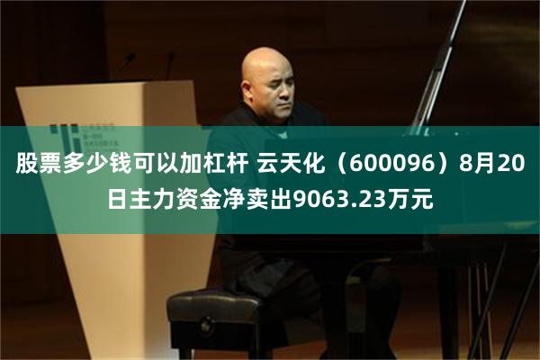 股票多少钱可以加杠杆 云天化（600096）8月20日主力资金净卖出9063.23万元