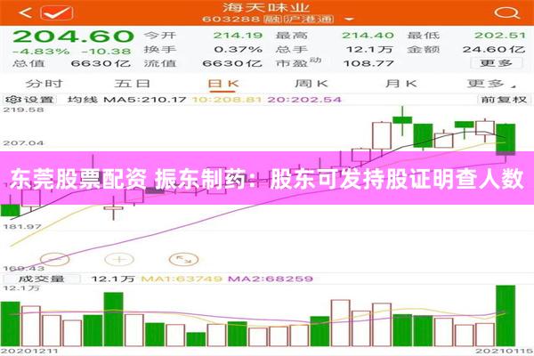 东莞股票配资 振东制药：股东可发持股证明查人数